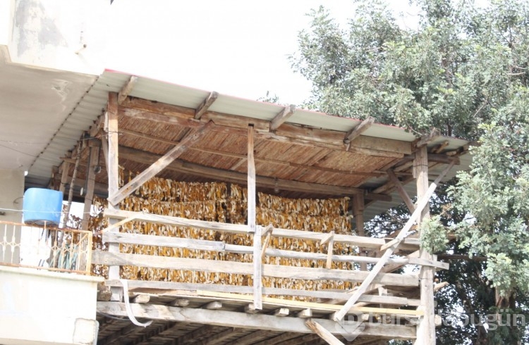 3 liraya alıp 18 liraya satıyorlar