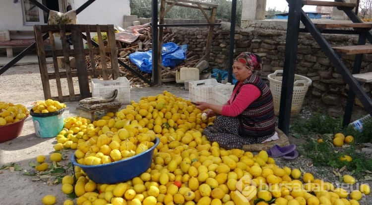 3 liraya alıp 18 liraya satıyorlar