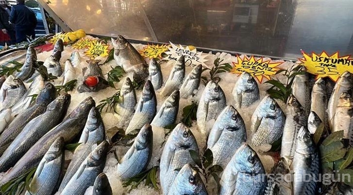 Ramazanda balık fiyatları düşecek mi?