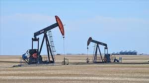 Suudi Arabistan'dan 'petrol' resti