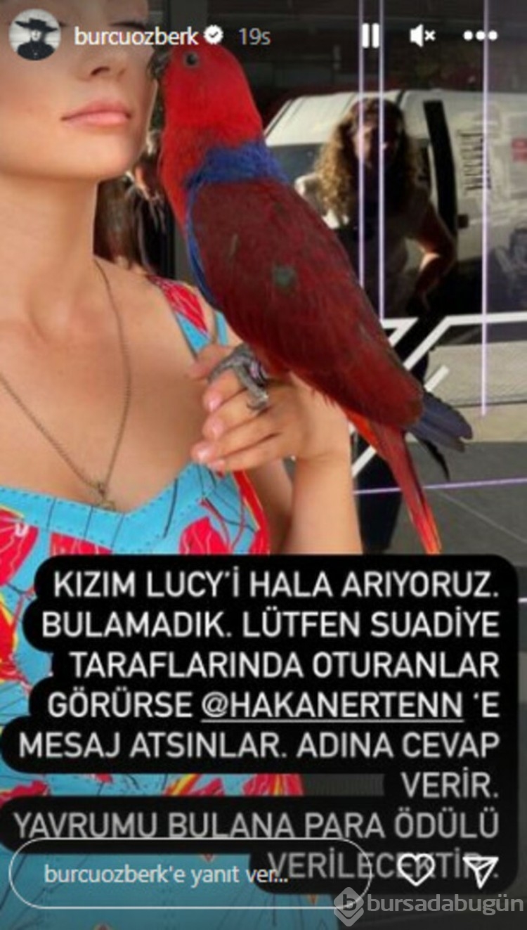 Güzel oyuncu Burcu Özberk'in papağanı evden kaçtı