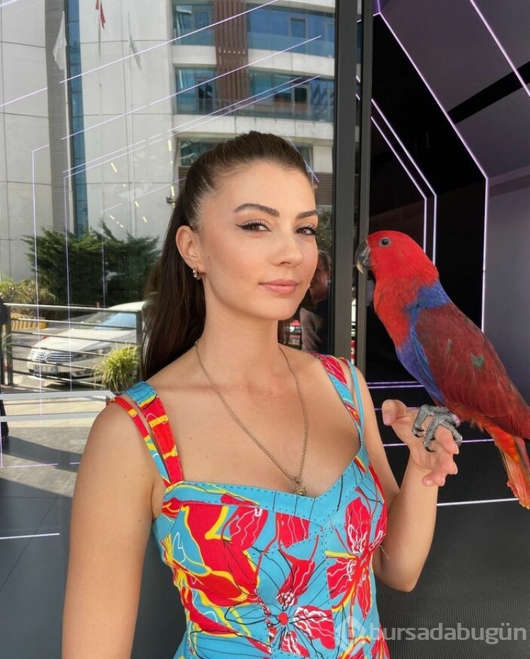 Güzel oyuncu Burcu Özberk'in papağanı evden kaçtı