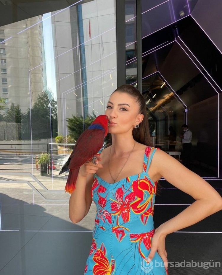 Güzel oyuncu Burcu Özberk'in papağanı evden kaçtı