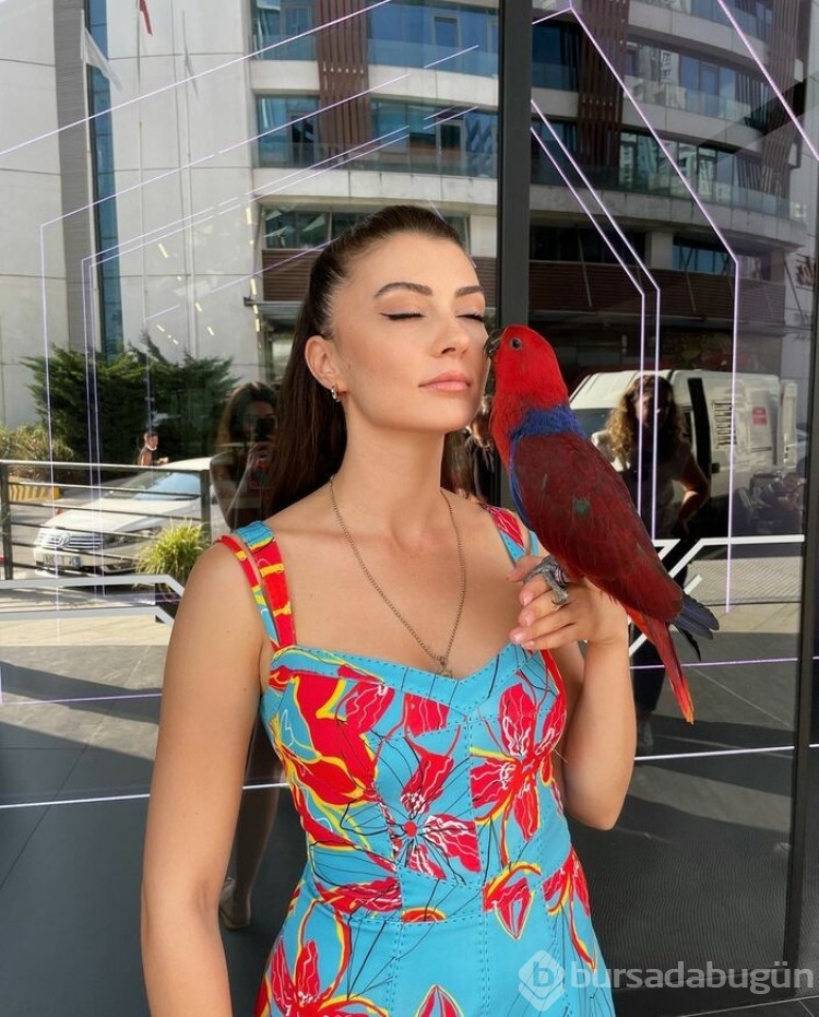 Güzel oyuncu Burcu Özberk'in papağanı evden kaçtı