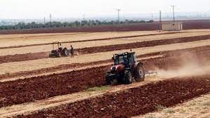 Tarım üretici fiyatları artıyor