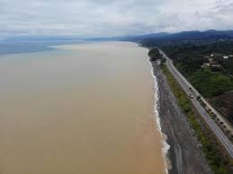 Karadeniz'de şaşırtan görüntü!