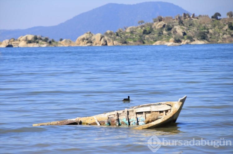 Suyu çekilen Bafra Gölü yağışların ardından eski haline döndü