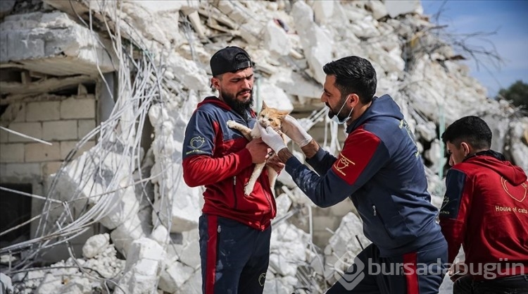 Suriye'de depremlerde yaralanan köpekleri tedavi ediyorlar
