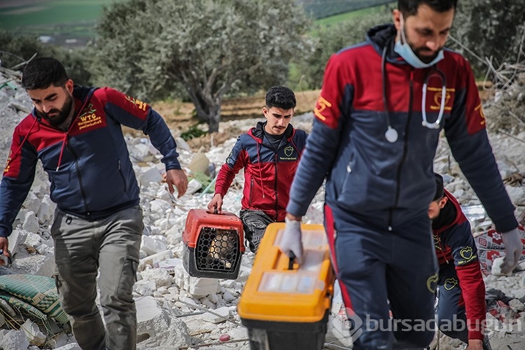 Suriye'de depremlerde yaralanan köpekleri tedavi ediyorlar