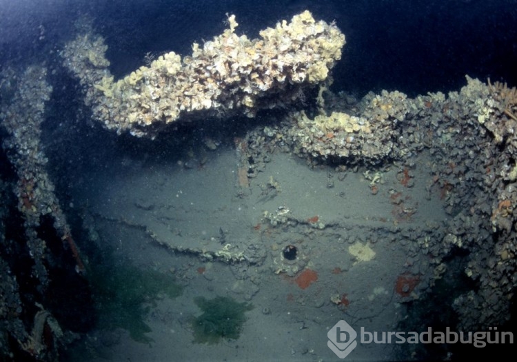 Çanakkale Savaşları'ndan kalma batık gemiler görüntülendi