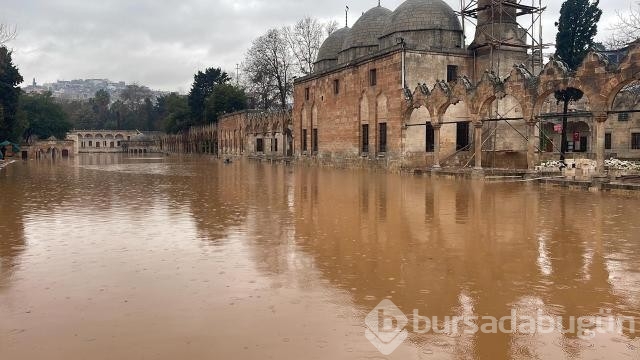 Balıklıgöl'ün balıkları nerede?