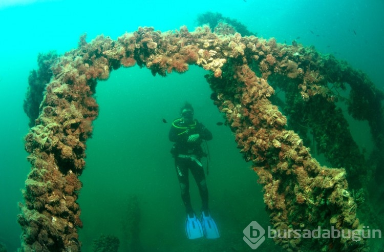 Çanakkale Savaşları'ndan kalma gemiler görüntülendi