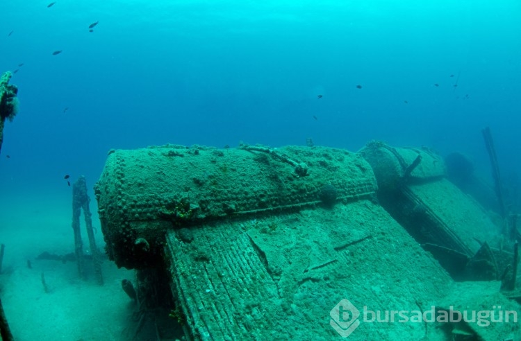 Çanakkale Savaşları'ndan kalma gemiler görüntülendi