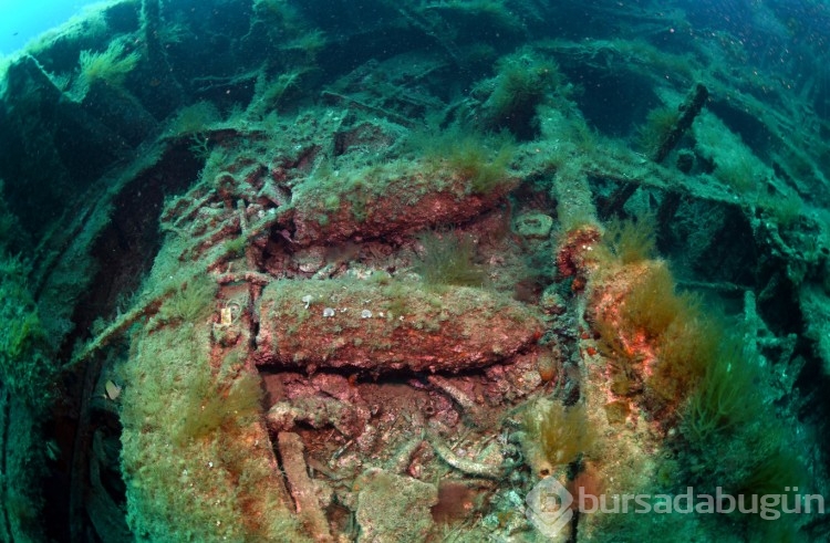 Çanakkale Savaşları'ndan kalma gemiler görüntülendi