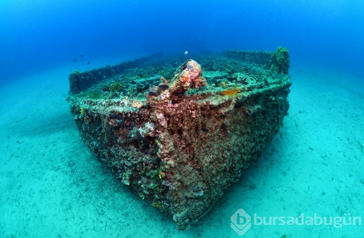 Çanakkale Savaşları'ndan kalma gemiler görüntülendi