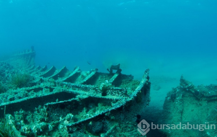 Çanakkale Savaşları'ndan kalma gemiler görüntülendi
