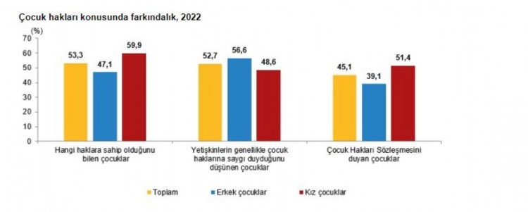 TÜİK, 2022 yılı çocuk araştırması sonuçları