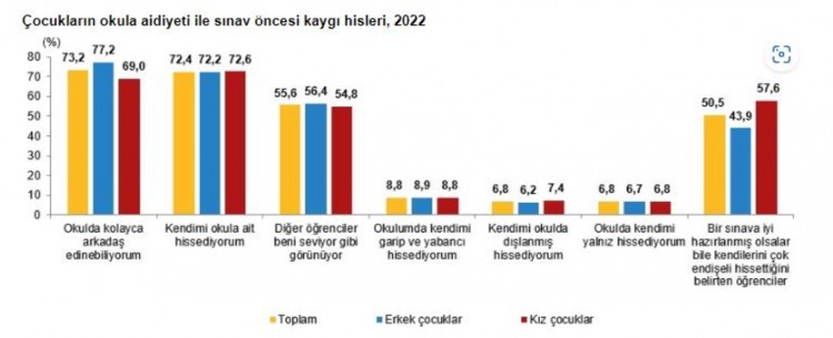 TÜİK, 2022 yılı çocuk araştırması sonuçları