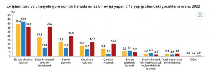 TÜİK, 2022 yılı çocuk araştırması sonuçları