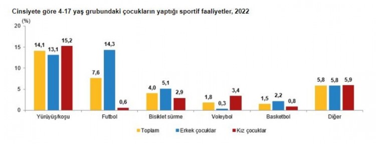 TÜİK, 2022 yılı çocuk araştırması sonuçları