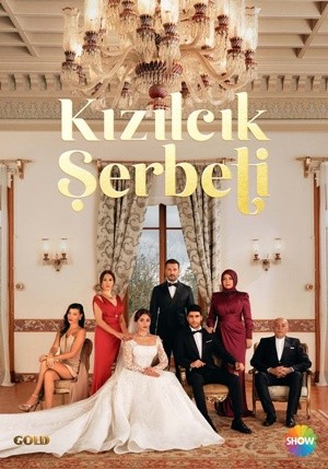RTÜK'ten Show TV'ye program durdurma cezası geldi