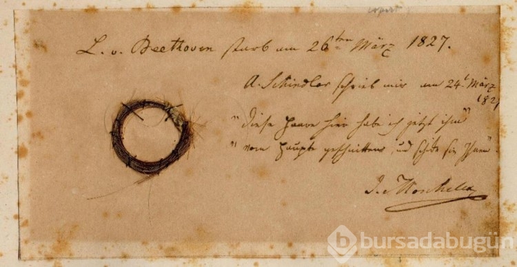 Ünlü besteci Ludwig van Beethoven'ın sırlarını saç telleri ortaya çıkardı