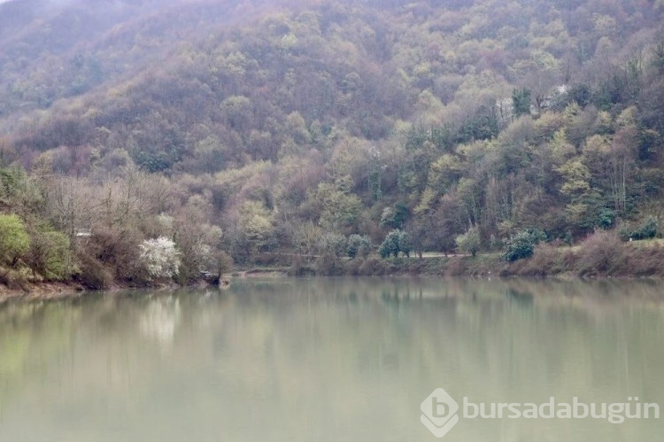 Yuvacık Barajı doluluğa yaklaştı