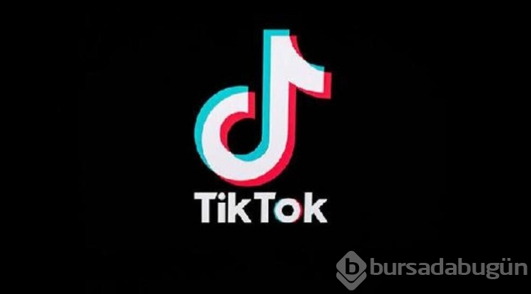 TikTok uygulaması iki ülkede daha yasaklandı!