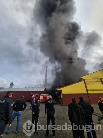 Çaykur'a ait çay fabrikasında yangın çıktı!