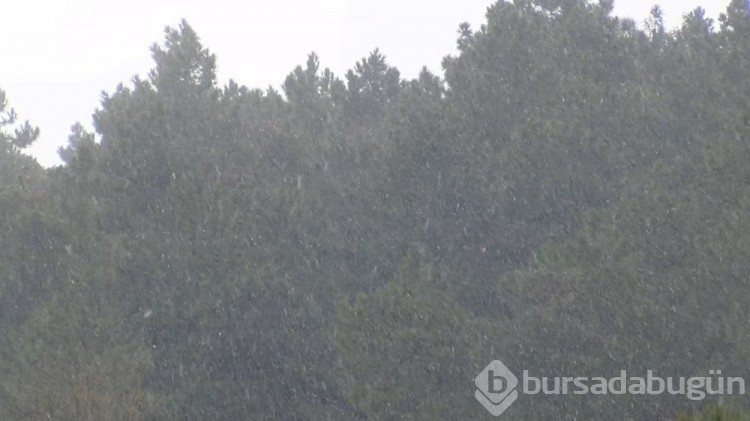 İstanbul'un yüksek kesimleri kar yağışının ardından beyaza büründü