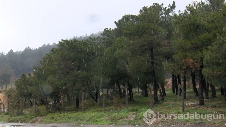 İstanbul'un yüksek kesimleri kar yağışının ardından beyaza büründü