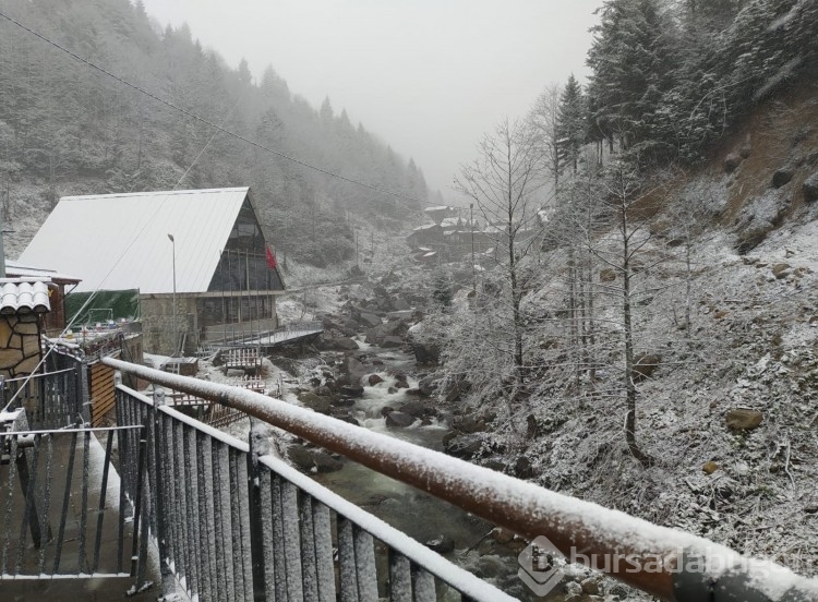 Rize'nin Ayder Yaylası beyaza büründü