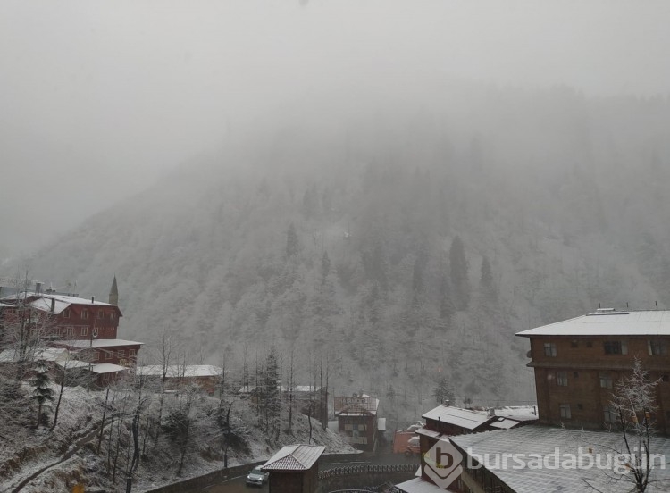 Rize'nin Ayder Yaylası beyaza büründü