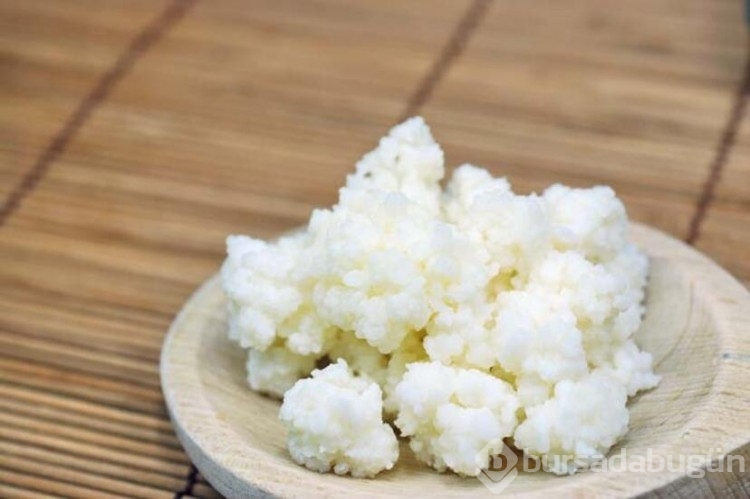 Protein deposu: Kefir