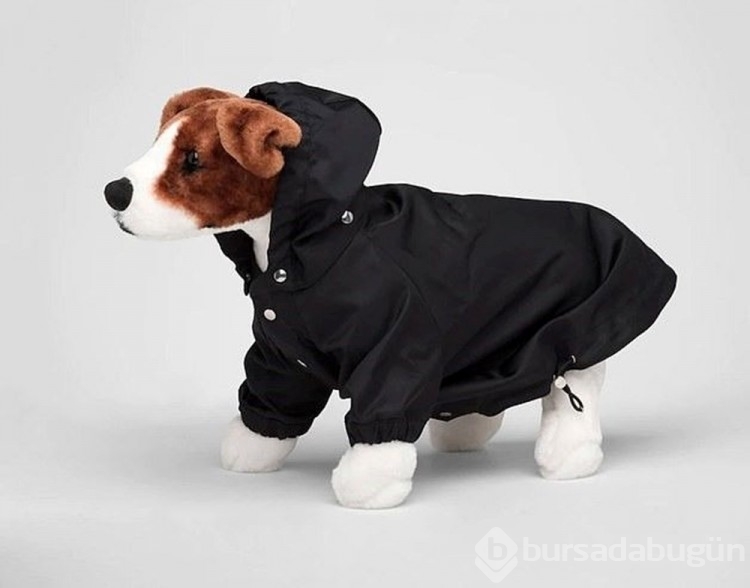 Prada'da13 bin TL'ye köpek yağmurluğu satılıyor