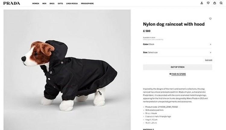 Prada'da13 bin TL'ye köpek yağmurluğu satılıyor