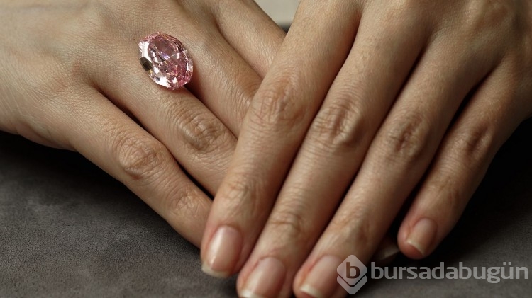 Dünyanın en nadir bulunan elması: Pembe elmas