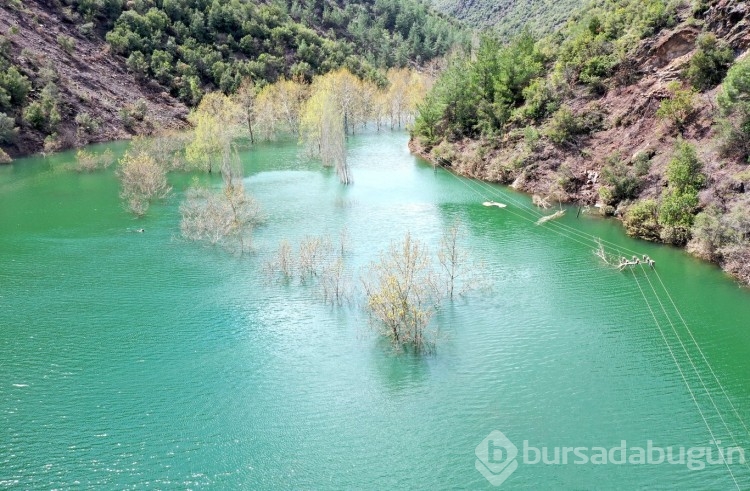 Depremin ardından meydana gelen heyelanla doğal gölet oluştu