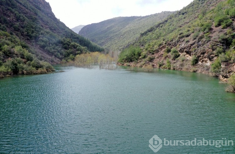 Depremin ardından meydana gelen heyelanla doğal gölet oluştu
