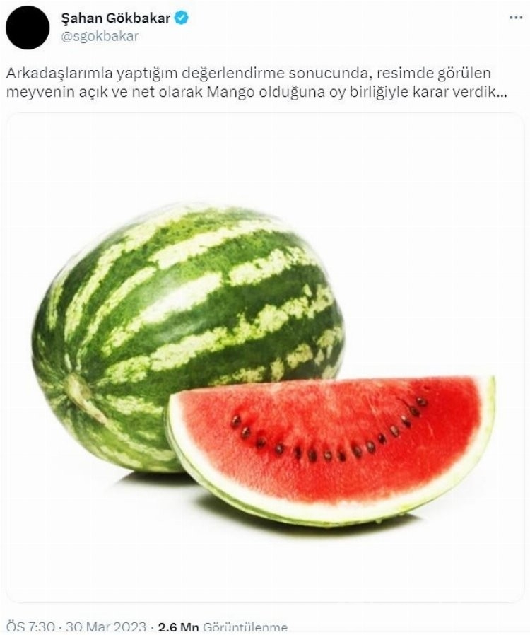 Komedyen Şahan Gökbakar'dan YSK'ya karpuz göndermesi