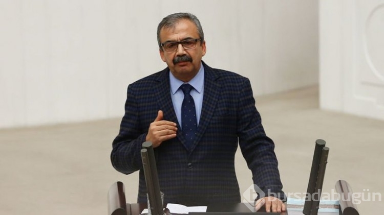 Sırrı Süreyya Önder milletvekili adayı oldu