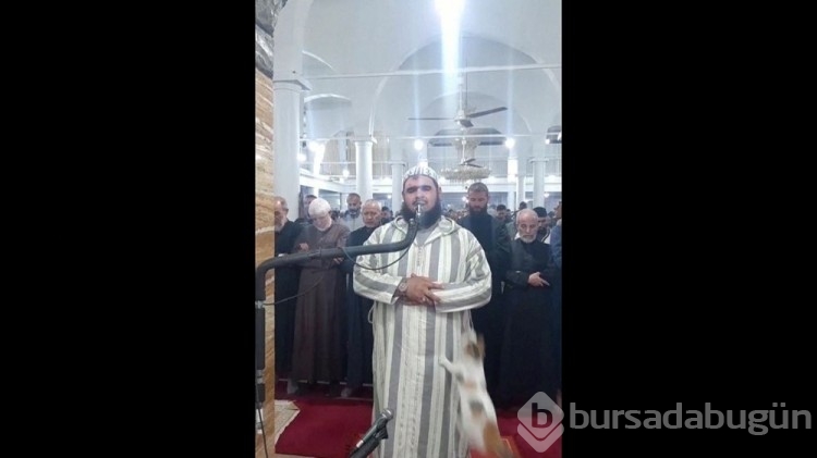 Teravih namazı kıldıran imamın kedi şefkatine övgüler yağdı