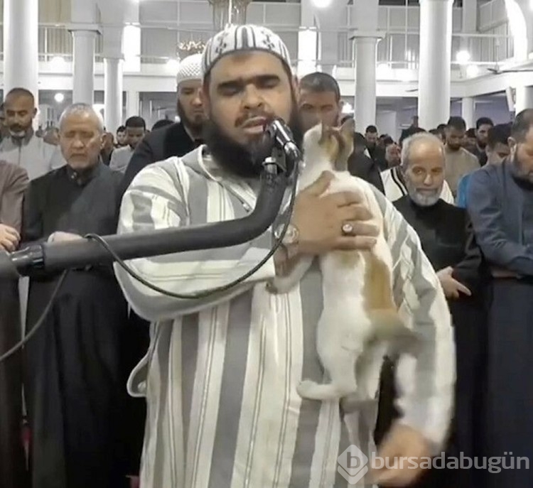 Teravih namazı kıldıran imamın kedi şefkatine övgüler yağdı