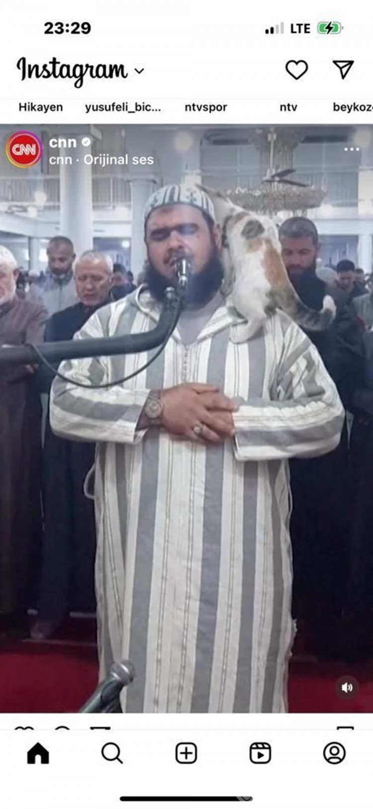 Teravih namazı kıldıran imamın kedi şefkatine övgüler yağdı