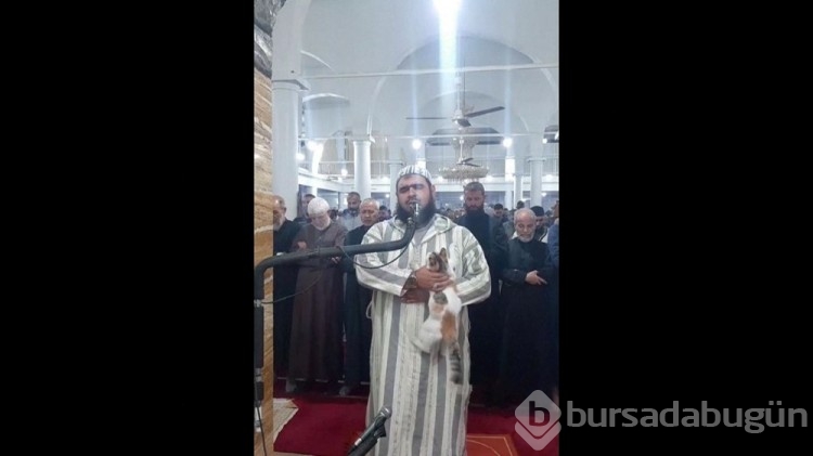 Teravih namazı kıldıran imamın kedi şefkatine övgüler yağdı