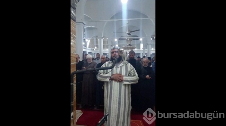 Teravih namazı kıldıran imamın kedi şefkatine övgüler yağdı