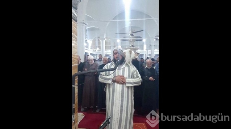 Teravih namazı kıldıran imamın kedi şefkatine övgüler yağdı