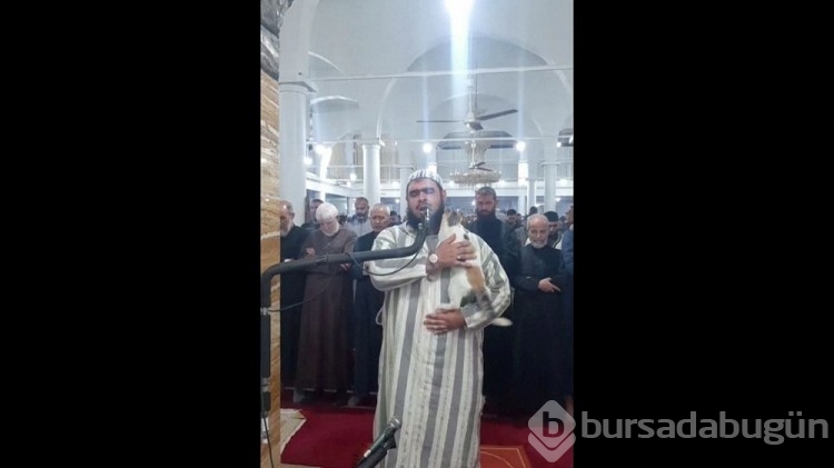 Teravih namazı kıldıran imamın kedi şefkatine övgüler yağdı