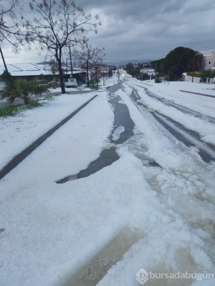 Çeşmede plajlar beyaza büründü