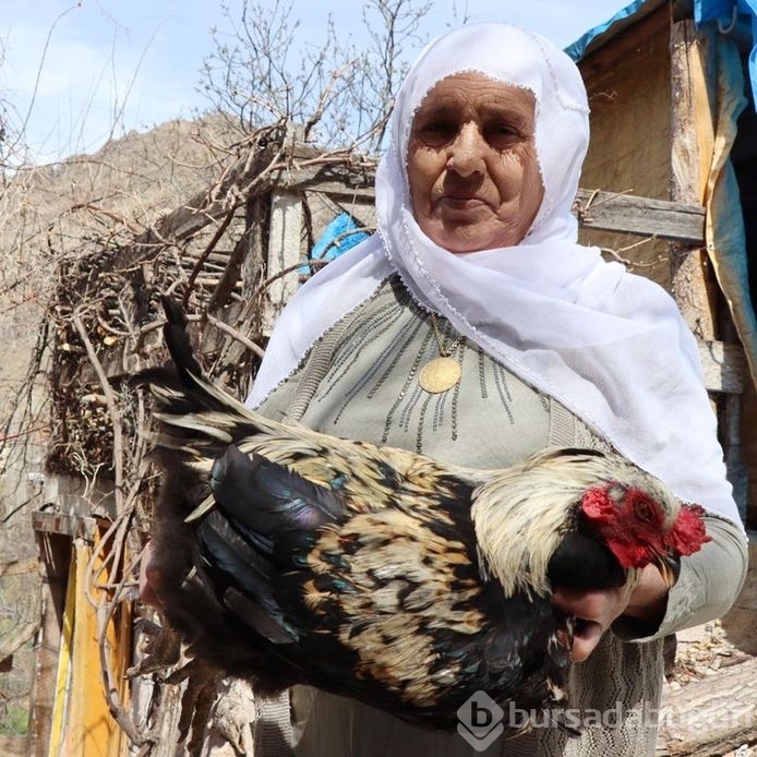 'Çakal' nöbeti